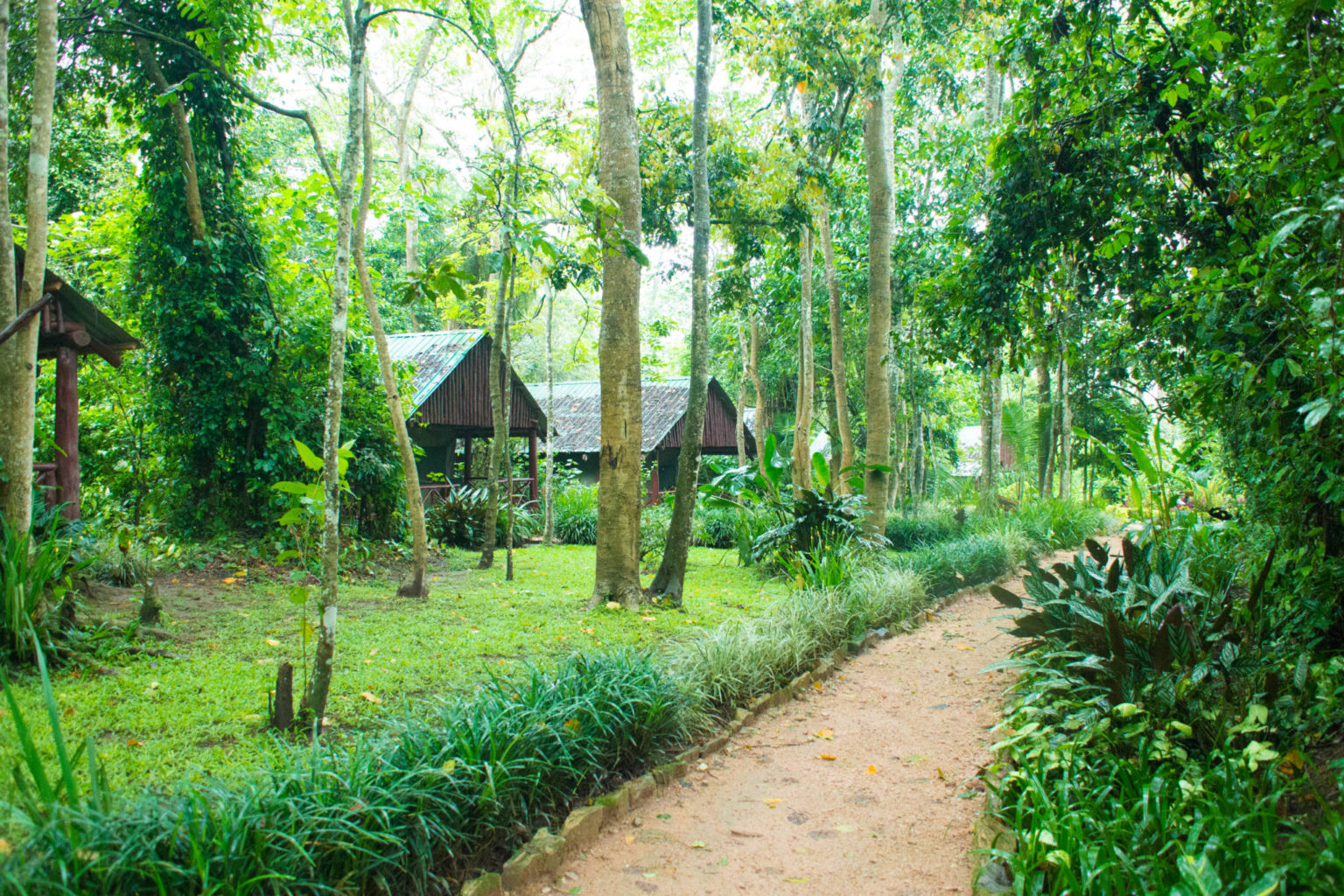 Kibale Forest Camp - Gorillatours.com