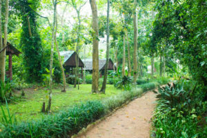 Kibale Forest Camp